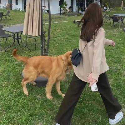 蓝宝坚尼的崛起